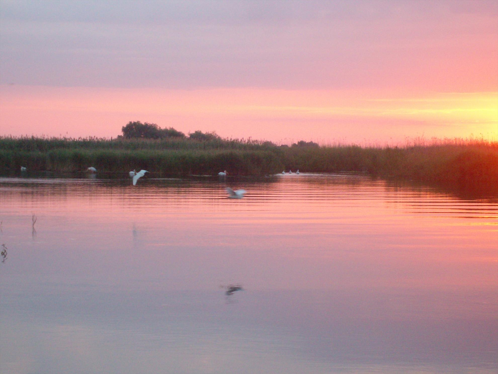 delta rosu 2009 - sany0748.JPG